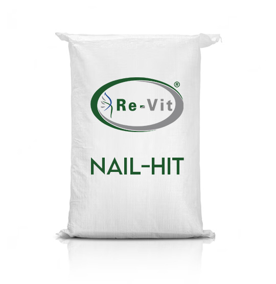 Re-Vit NAIL-HIT